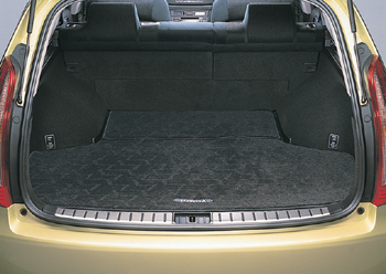 Trunk mat (carpet type)